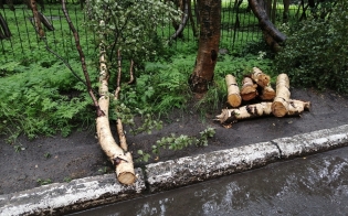 �� �������� ����