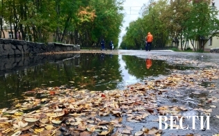 ������� ������ �� 6 �������