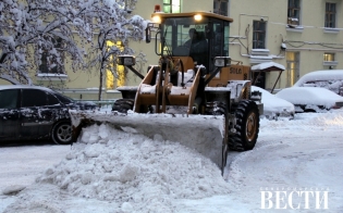 ������ ���������������� ������ ������ �� 15 �������