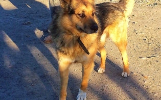  ���� ���� ���