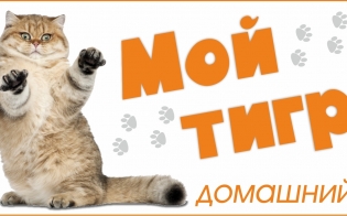 ����������� "��� ���� �������� "