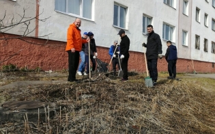 ������ ������������