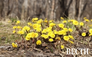 ������� ������ �� 16 ���