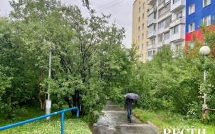 1100 ���������� ���������� �� ���