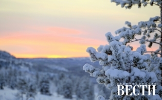 ������ ������� ����