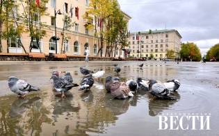 ������� ������ �� 11 �������