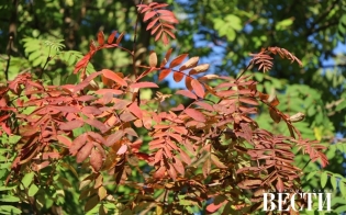 ������� ������ �� 9 ��������