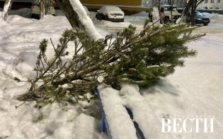 ������������ ���������� � ���������� ���������� ����