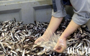 ���� ���� �� ��������