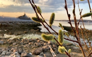 ������� ������ �� 5 ����