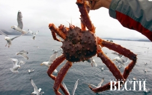 ��������� ����� ������������� ������������