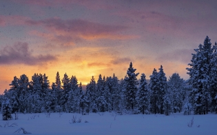 ������� ������ �� 5 �������