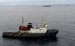 ������ �������� 