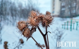 ������� ������ �� 10 �������