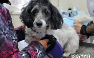 ������ ������ ���������