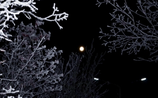 ������� ������ �� 19 ������