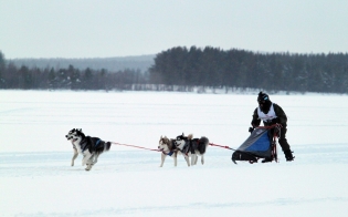 ���� ���� �������