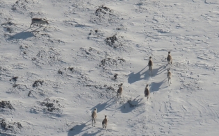 �������� ������������ ���