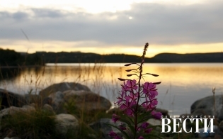 ������ ������