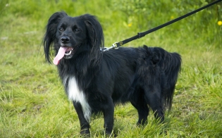 �������� � ���������� ����