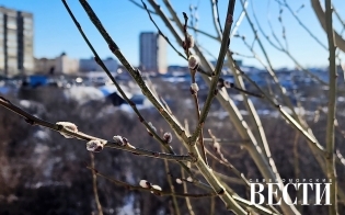 ������� ������ �� 16 ������