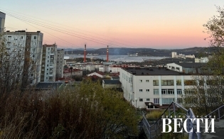 ������� ������ �� 14 �������