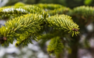 ���������� ���� � �� ������ ��������