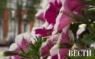 � ����� �����-���