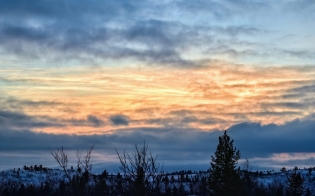 ������� ������ �� 21 ������