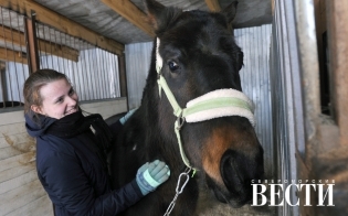 "���� ������ �� ������ ���������� ��� �����..."