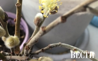 ����� ����