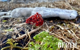 ������� ������ �� 23 �����