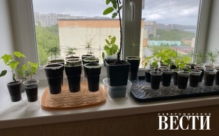 �� ������� - � ������ 