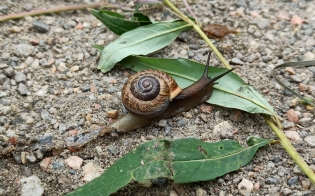 ������? �� ������?