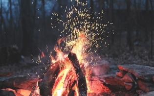 �������� "������"