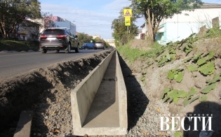 ���� �������������