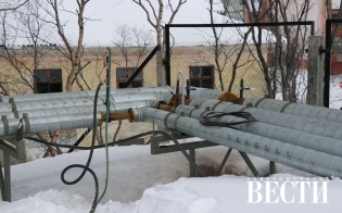 ������� � �����, � ����