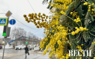 ������� ������ �� 24 �����