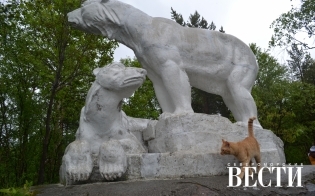 ������� ������ �� 6 ����