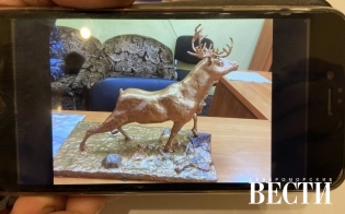 ����� ����� �����