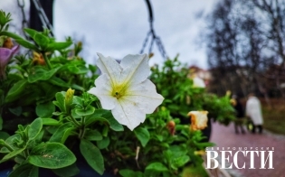 ������� ������ �� 16 �������