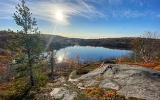 ������� ����� ������������