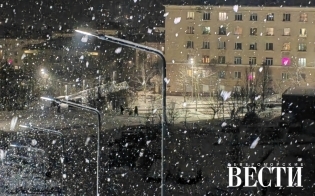 ������� ������ �� 13 ������