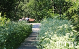 ������� ������ �� 18 ����