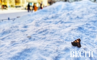 ������� ������ �� 5 ������