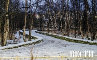 ������� ������ �� 15 ������