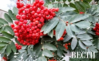 ������� ������ �� 24 �������