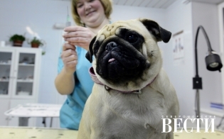 ����� ������ ��������� ������������ �������