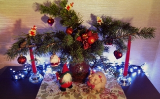 "���������� ������" �� �������� ����������