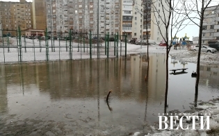 ������� ������ �� 20 ������